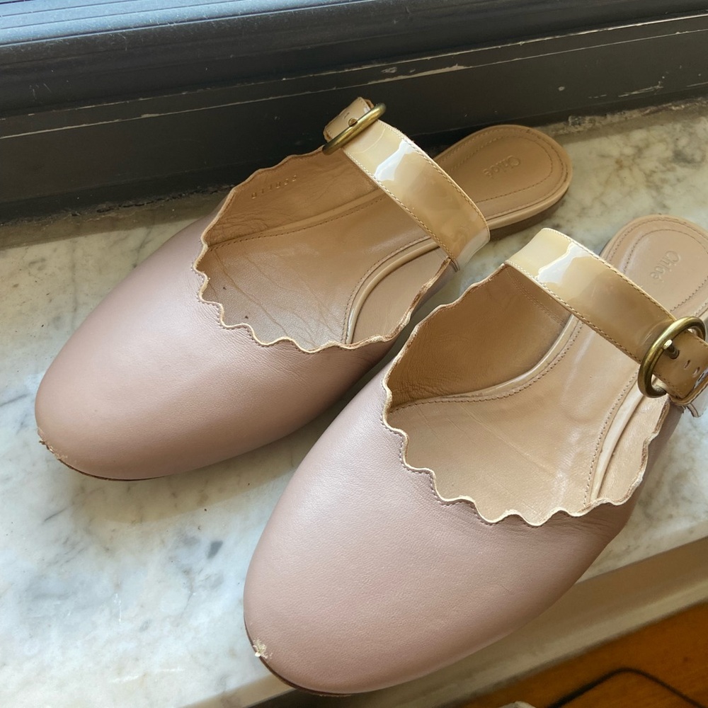 Chloe lauren scalloped mule